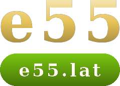 e55 logo